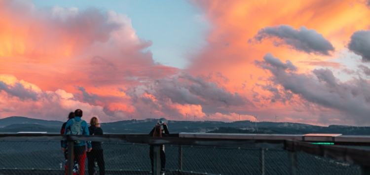 Erleben Sie abendliche Romantik mit Live-Musik auf dem Baumwipfelpfad!