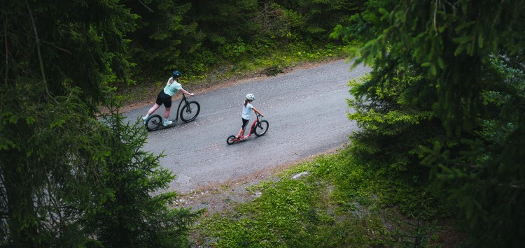 Genießen Sie Downhill-Scooter mit Ihren Kindern!