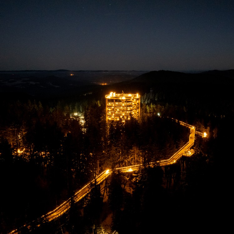 Stezka korunami stromů Lipno